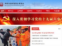 西藏保險(xiǎn)行業(yè)協(xié)會2021年網(wǎng)站改版升級
